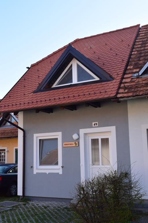 Appartement Borovnica Catez à Catez ob Savi Extérieur photo