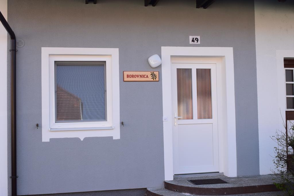 Appartement Borovnica Catez à Catez ob Savi Extérieur photo